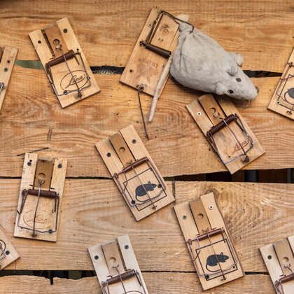 Kieler Umschlag 2023 11