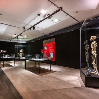 K&ouml;rperwelten Ausstellung Nordlicht 19