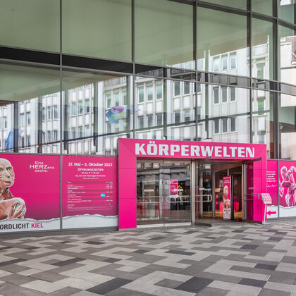 K&ouml;rperwelten Ausstellung Nordlicht 22