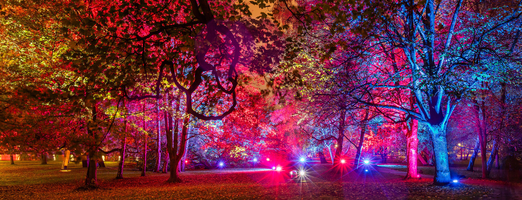 header lichtermeer 2024_04